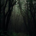 Forêt sombre, évocatrice du lieu du crime à Pali, Rajasthan.