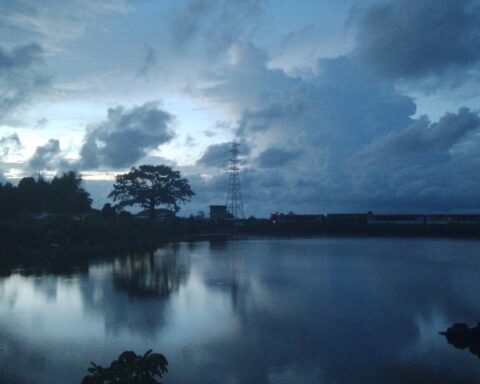 View of the city of Conakry, Guinea